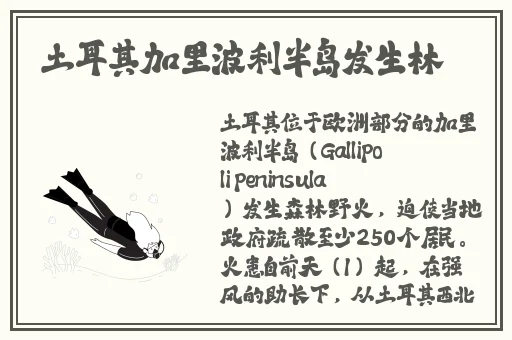 天天干影院